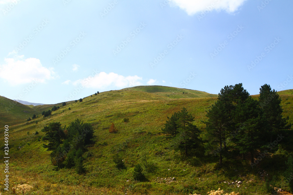 mountain cliff with trees on it, natural landscape photo