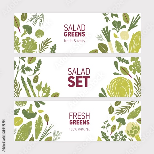 Collection of modern web banner templates with green vegetables, fresh salad leaves and spice herbs on white background. Vector illustration for eco friendly organic products advertising, promo.