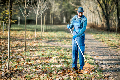 Professional male sweeper in blue uniform raking leaves in the garden during the autumn time