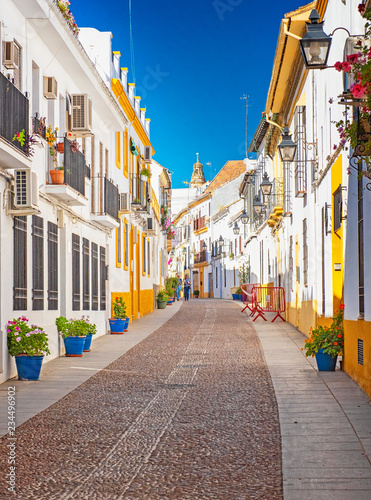 Old town of Cordoba with fl...