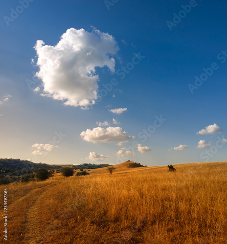sand spring steppe. trees and sand on sky background.