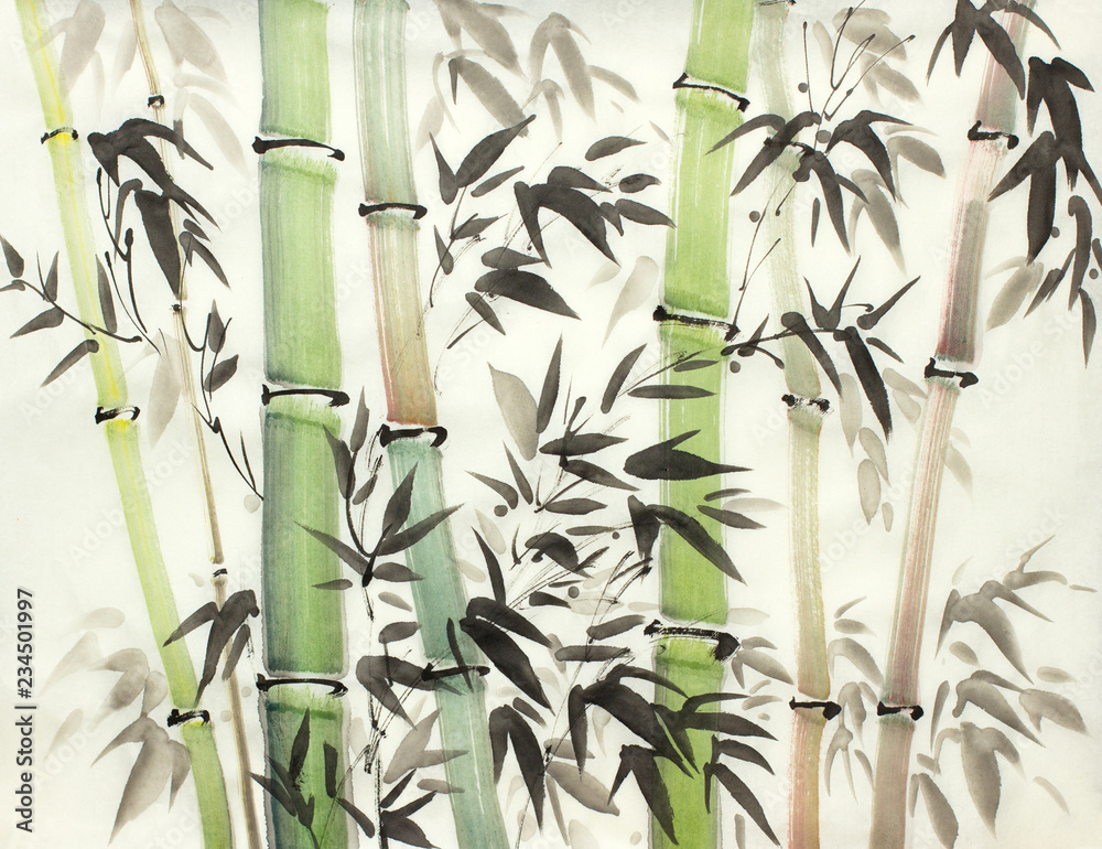 Fototapeta jasny las bambusowy
