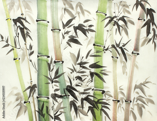 bright bamboo forest © hikolaj2