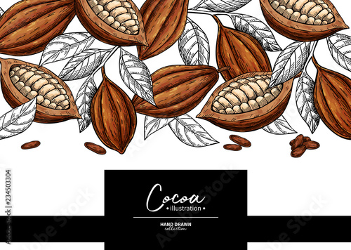 Cocoa frame. Vector superfood drawing template. Fruit, leaf and bean engraving. Organic healthy food
