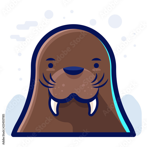 Walrus