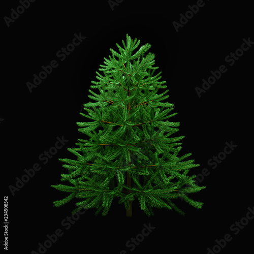 Green Christmas tree on a black background. 3d render