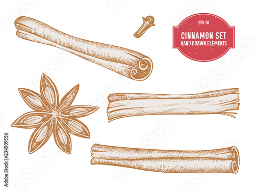 Vector collection of hand drawn pastel cinnamon