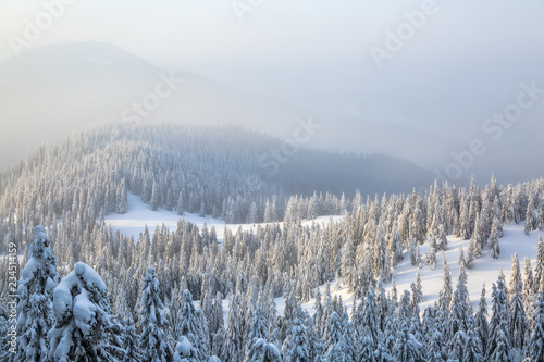 Spectacular panorama is opened on mountains, trees covered with white snow, lawn and blue sky with clouds. The game of light and shadow beautifully plays with volumes. Sunny winter day.