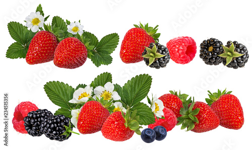 Berries collection. Raspberry,strawberries, blueberry, blackberry  isolated on white.