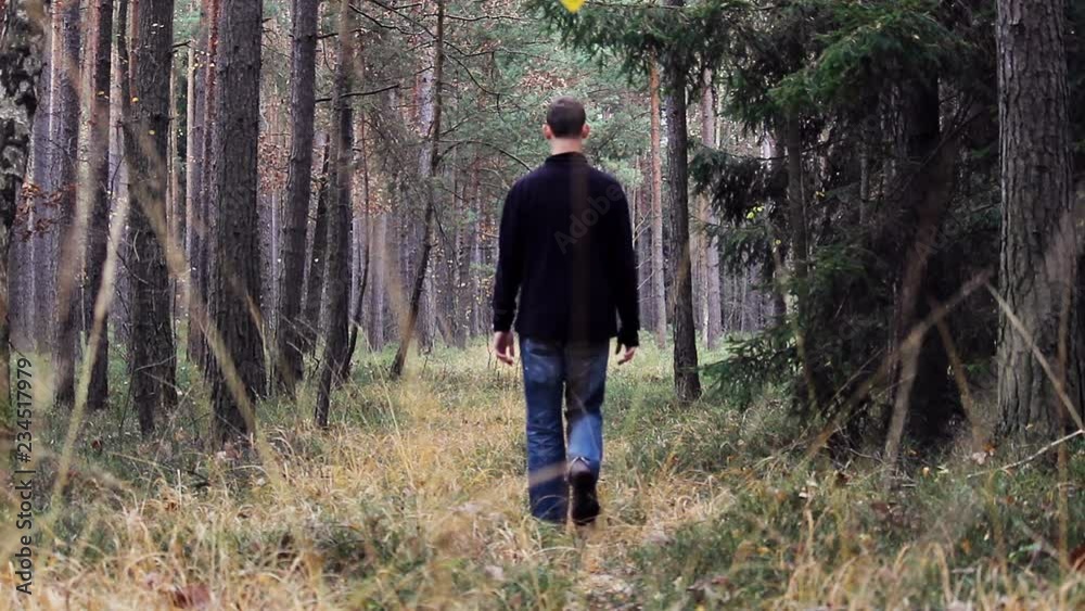 Young man walk in forest from back Young man walk in forest from back