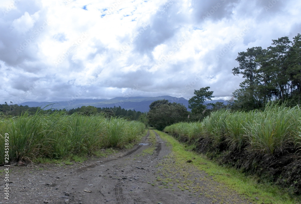 road in the mountains