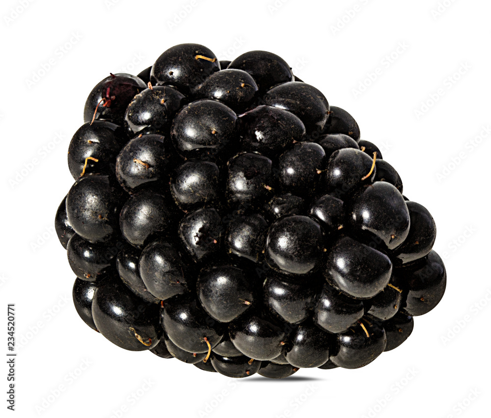Fresh blackberry isolated on white background with clipping path Fresh blackberry isolated on white background with clipping path