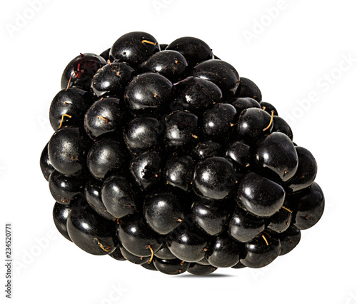 Fresh blackberry isolated on white background with clipping path