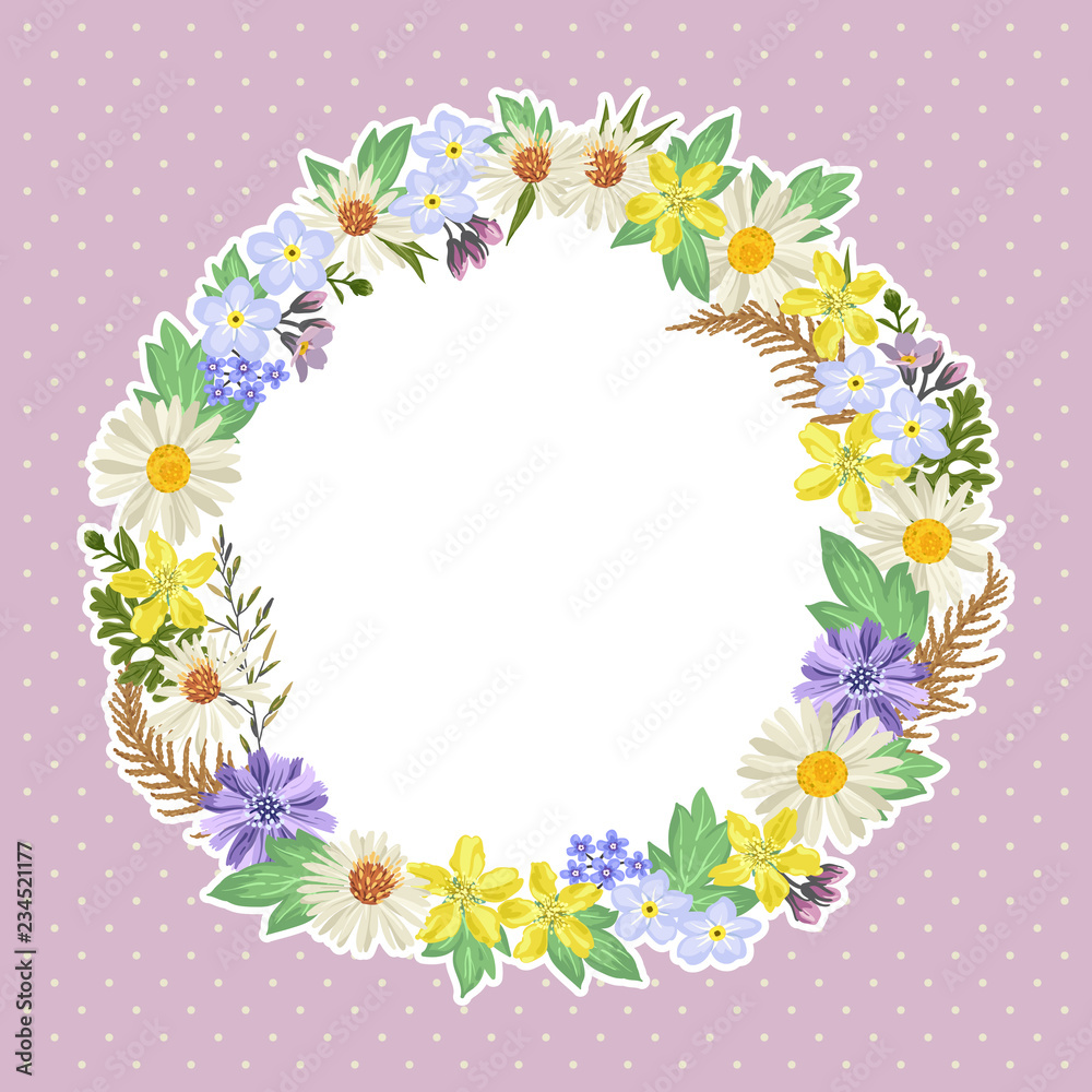 Set of illustrations of plants. Freehand drawing Set of illustrations of plants. Freehand drawing