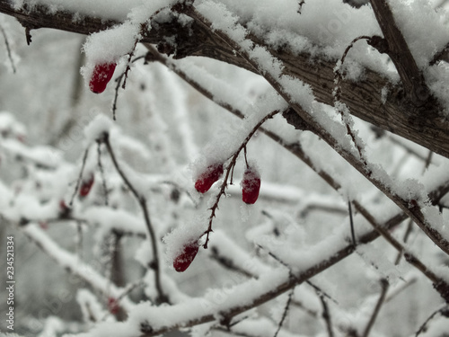 winter11 © Денис Жердев