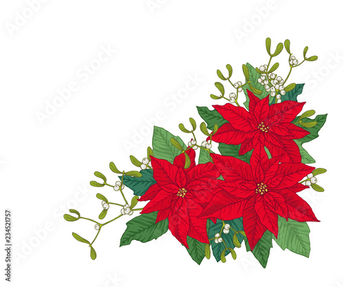 Christmas bouquet made of poinsettia, leaves and mistletoes. Vector objects on white background.