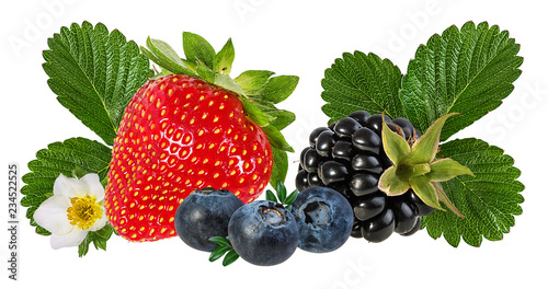 Collage of fresh berries with leaves and flower isolated on white background with clipping path