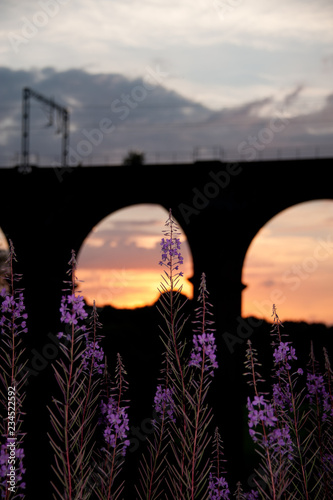 Sunset behind silhouetted railway viaduct with purple flowers photo