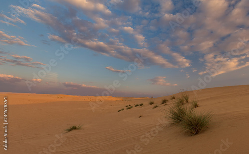 Landscape of sand dune and grass with clouds at sunset