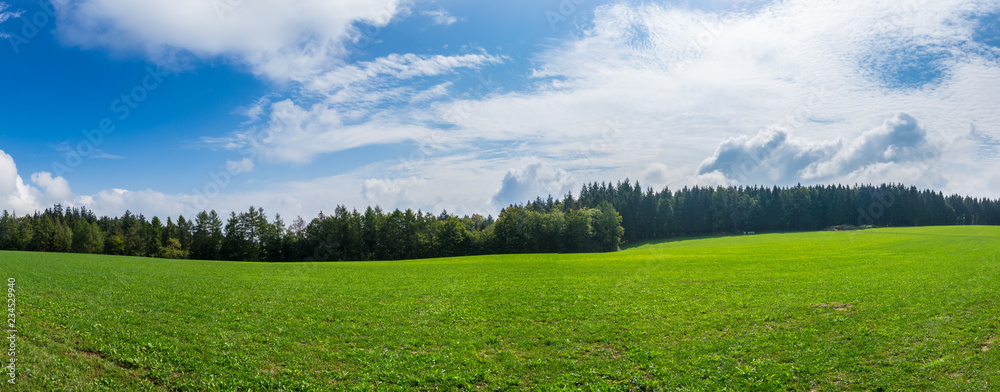 Germany, XXL panorama of perfect hiking nature landscape of black forest