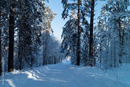 Timber road at winter length of time