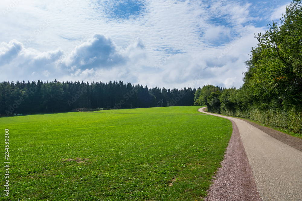 Curved road along green pasture and edge of black forest on sunny day