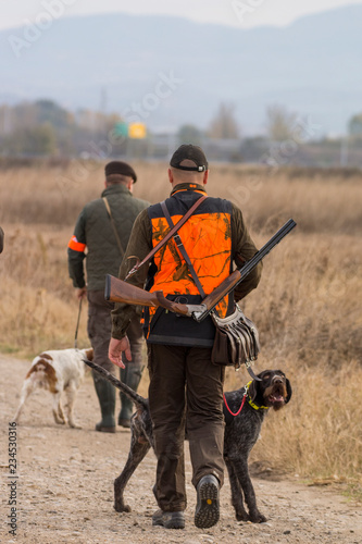 Hunter hunting with dogs in nature