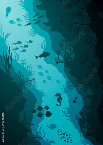 Fototapet Coral reef and Underwater sea vector illustration