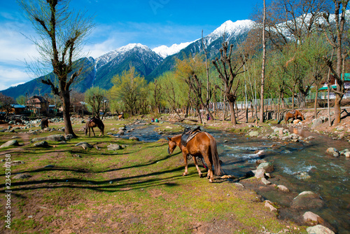 Pahalgam village,Kashmir,India during spring or autumn season. The beautiful village near the river  surrounding by the nature. photo