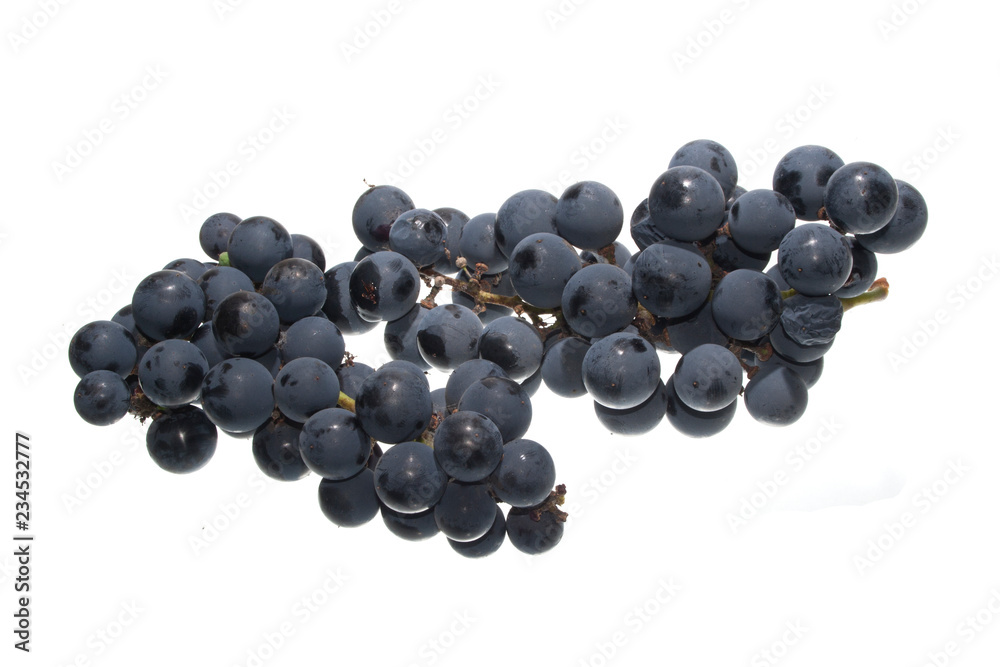 grapes isolated on white background grapes isolated on white background