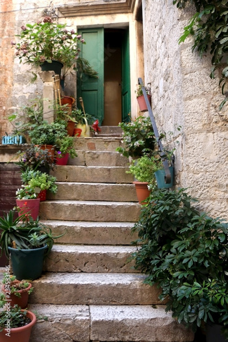 Colorful plants on stone staircase in old town Trogir  Croatia. Trogir is popular travel destination in Croatia.