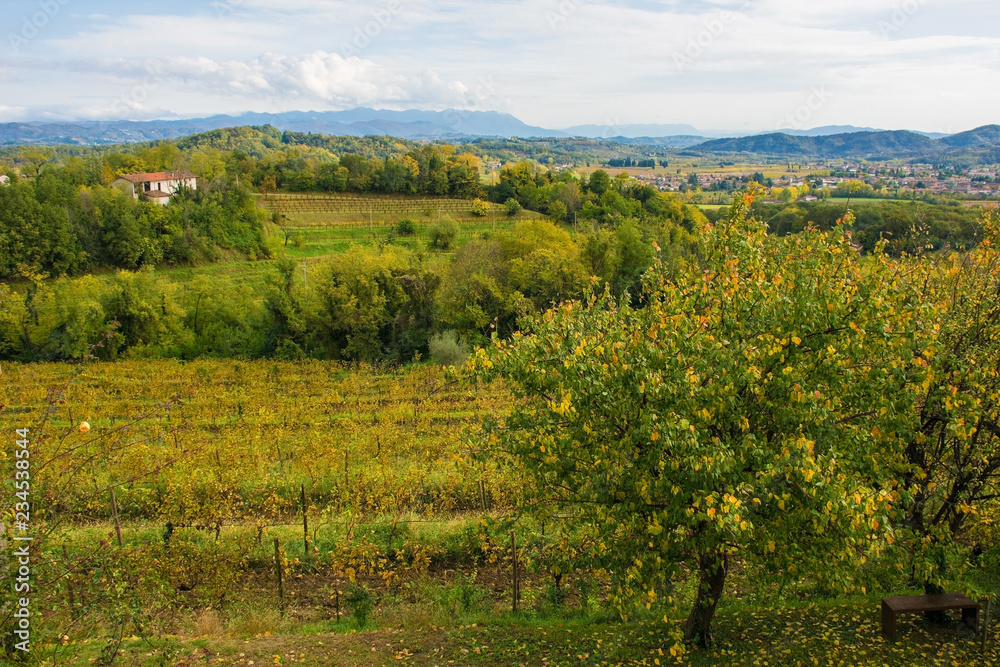 The autumn landscape in the Collio vineyard area of Friuli Venezia Giulia, north west Italy. Taken near to Abbazia di Rosazzo Abbey
