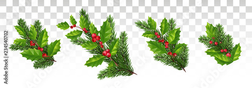Christmas set for decoration. Pine branches and holly with red leaves. Vector.Eps10.