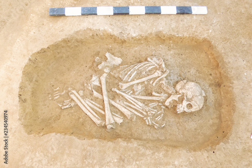 Fotografie Archaeological excavations man and finds (bones of a skeleton in a human burial),  working tool, ruler, a detail of ancient research, prehistory