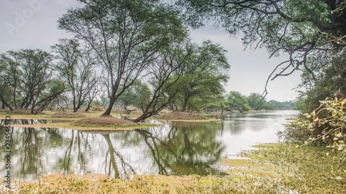 beautiful lake in the Keolado National Park, India