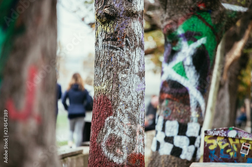 Urban graffiti on trees and walls