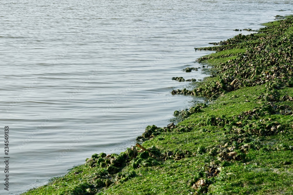 Buhne und Südstrand auf der Insel Baltrum, Niedersachsen Buhne und Südstrand auf der Insel Baltrum, Niedersachsen