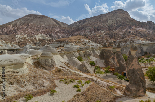 Fairy Chimneys (Pasabagi) rock formations and vineyards near Zelve, Nevsehir Province, Turkey