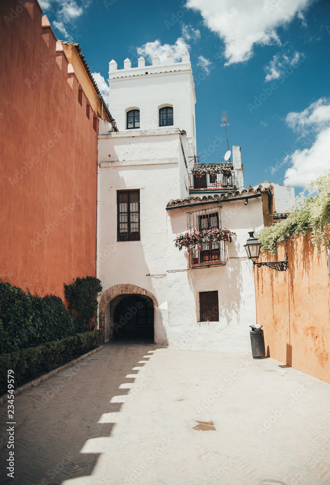 portuguese narrow street