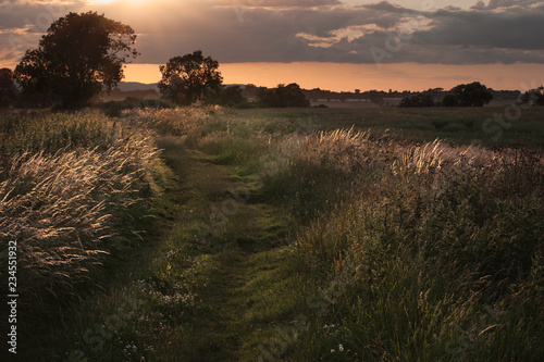 Dusk Walks Through Frisby photo