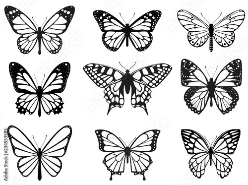Different butterflies set. Vector illustration photo