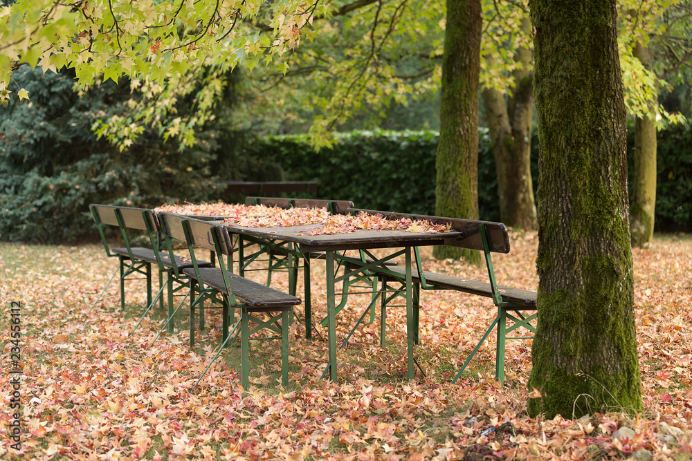Tavolo e panche da picnic coperti da foglie autunnali
