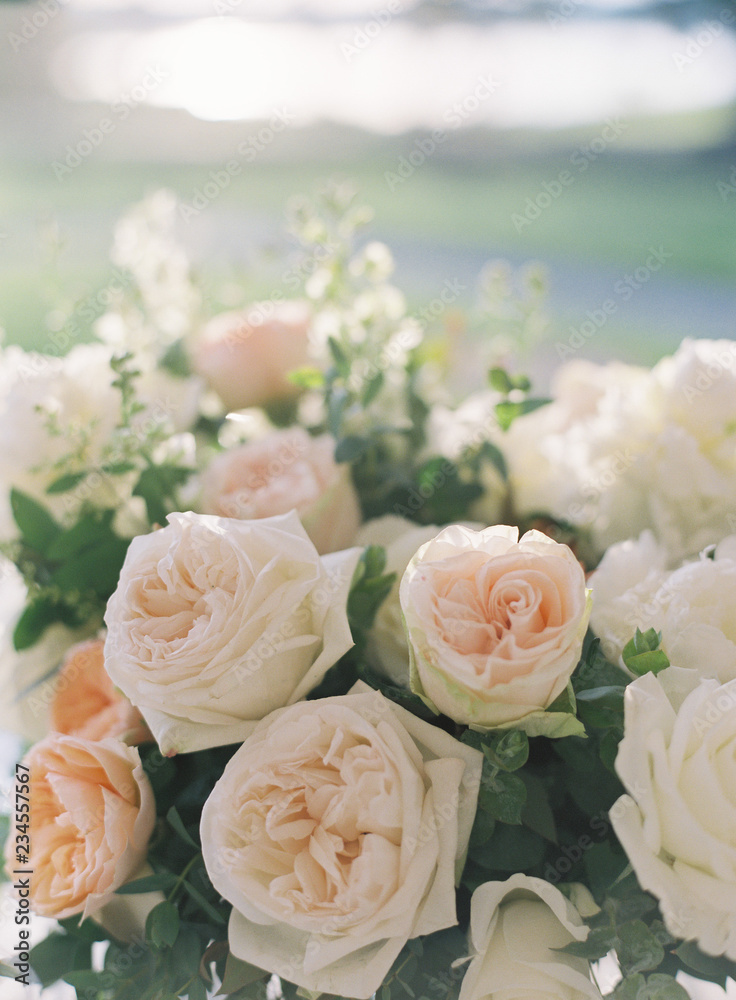 Closes up of roses at a wedding reception Closes up of roses at a wedding reception