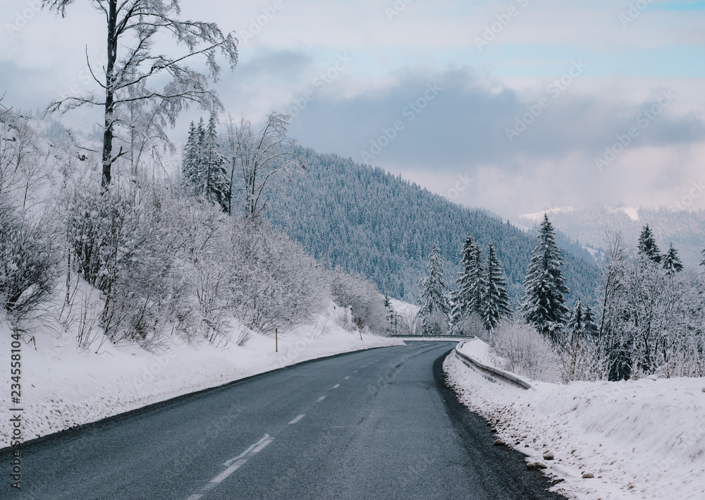 Fototapeta premium snowy road in winter forest