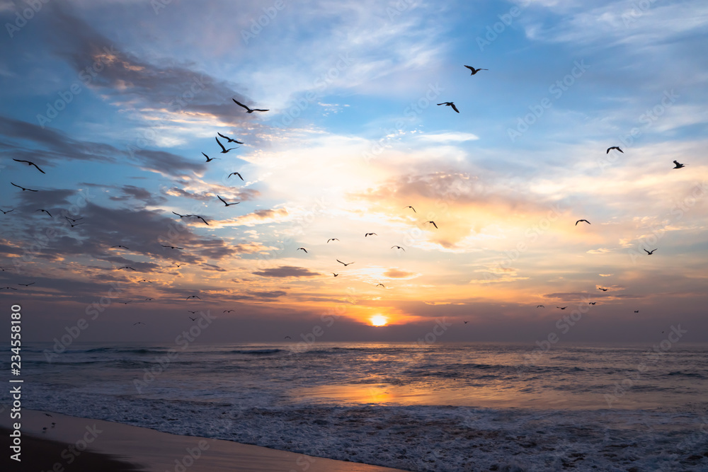 Fototapeta premium Beautiful sunset over the sea and flying birds