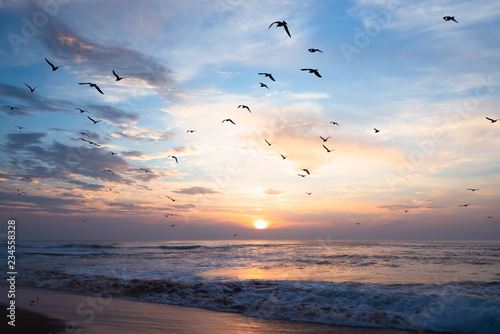 Fototapeta Naklejka Na Ścianę i Meble -  Beautiful sunset over the sea with flying birds