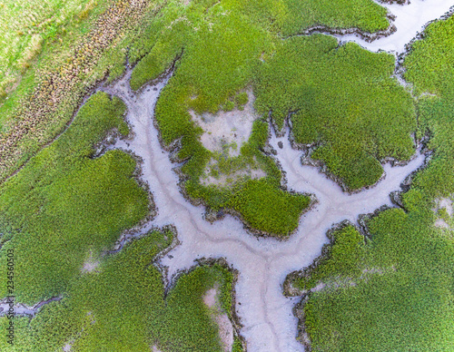 Aerial view of lush green coastal wetlands