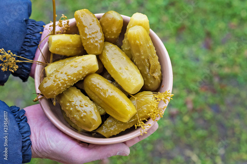 Presentation plate of homemade pickled cucumbers