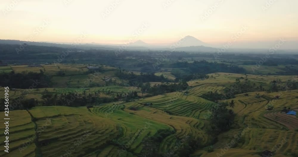 Edited drone footage over Jatiluwih Unesco rice terraces in Bali, Indonesia