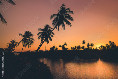 sunset on the beach in summer